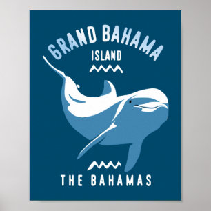 Poster Baignade avec Dolphins Grand Bahama