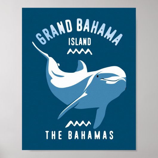 Poster Baignade avec Dolphins Grand Bahama (Devant)