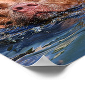 Poster Baignade de chien (Coin)