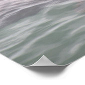 Poster Baignade de phoque mignonne à l'affiche du marché  (Coin)