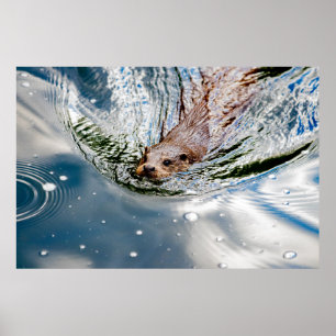 POSTER BAIGNADE DE SCEAU CUT