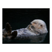 Poster Baignade mignonne Otter de mer Glossy Photographie (Devant)