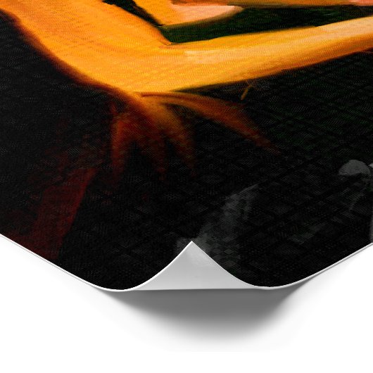 Poster Bailaora (Coin)