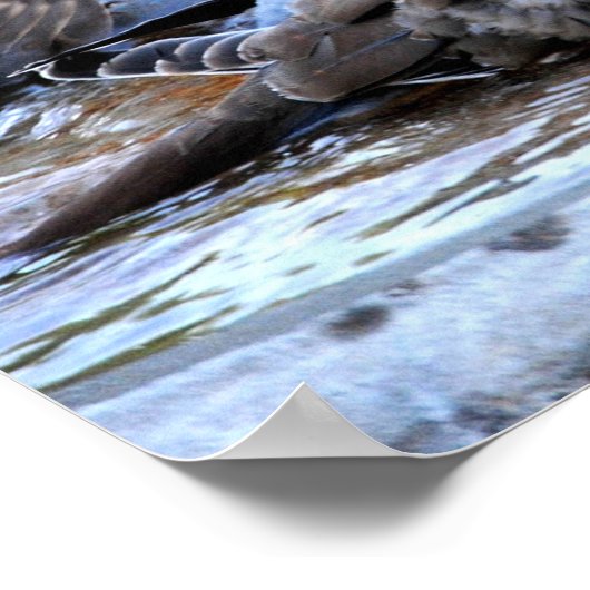 Poster Bain Communal (Coin)