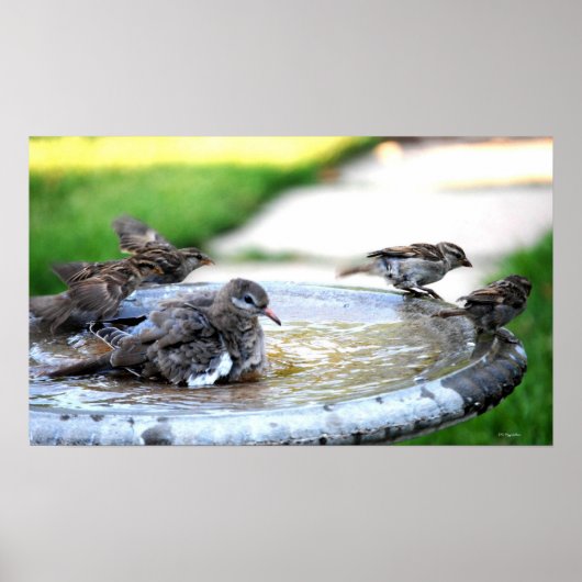 Poster Bain Communal (Devant)