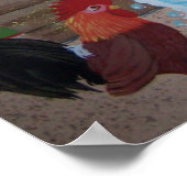 Poster bain de porc (Coin)