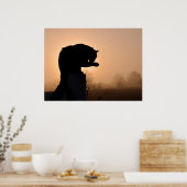 Poster Bain du matin du chat (Cuisine)