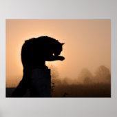 Poster Bain du matin du chat (Devant)