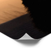 Poster Bain du matin du chat (Coin)