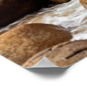 Poster Bains, Virgin Gorda, Îles Vierges britanniques (Coin)