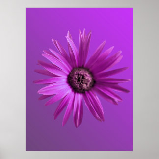 Poster Baise peinte