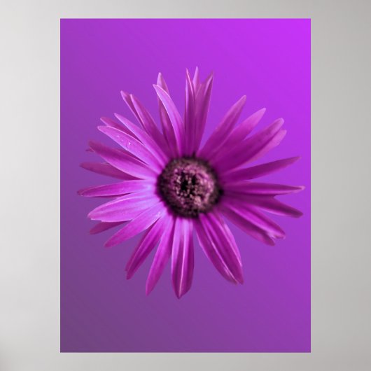 Poster Baise peinte (Devant)