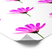 Poster Baise rose (Coin)