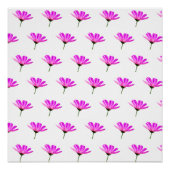 Poster Baise rose (Devant)