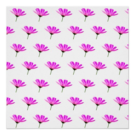 Poster Baise rose (Devant)