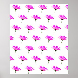 Poster Baise rose