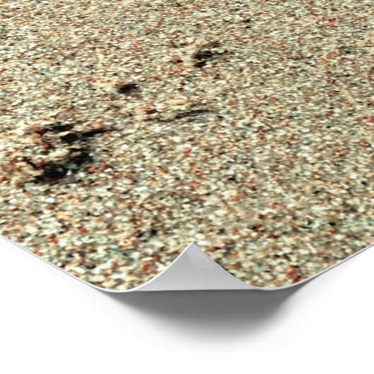 Poster Baiser dans les empreintes de sable dans le sable (Coin)