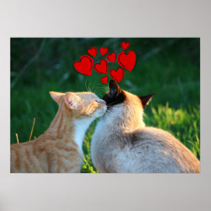 Poster Baiser de Kitty