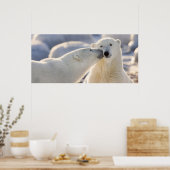 Poster Baiser de l'ours polaire (Cuisine)