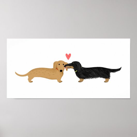 Poster Baiser de teckel avec cœur (Devant)