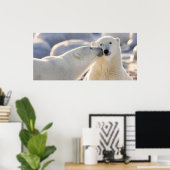 Poster Baiser d'ours polaire (Bureau à domicile)