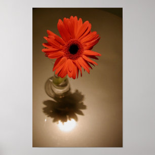 Poster Baisy Halo & Silhouette