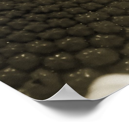 Poster Baisy noir et blanc (Coin)