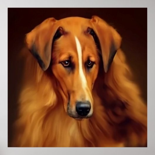 Poster Bakharwal Chien - Portrait de chien (Devant)