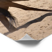 Poster Balade à pied (Coin)