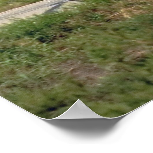 Poster Balade à vélo (Coin)