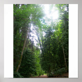 Poster Balade Dans Les Bois