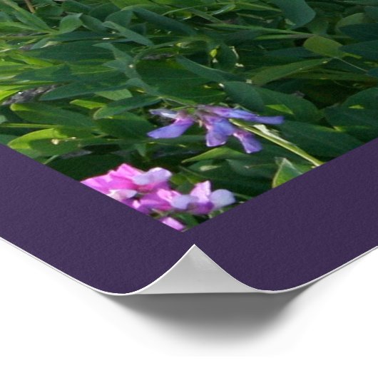 Poster Balancing Rocks (impression / toile) (Coin)