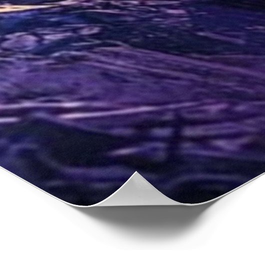 Poster Balayeuses Premium Space (Coin)