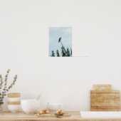 Poster Balbuzard pêcheur 9028 (Cuisine)