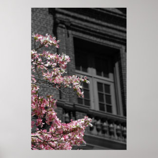 Poster Balcon fleuri