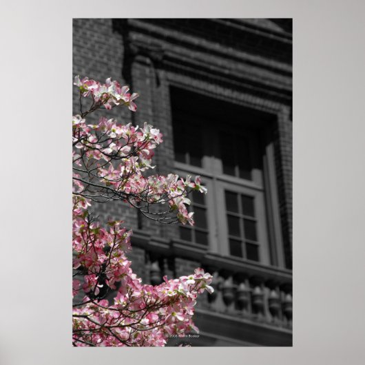 Poster Balcon fleuri (Devant)