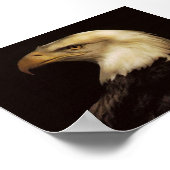 POSTER BALD EAGLE (Coin)