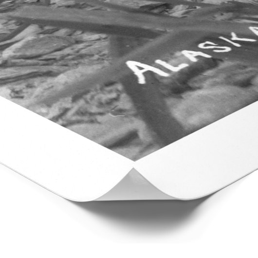 Poster Bald Eagle Alaska 1920 (Coin)