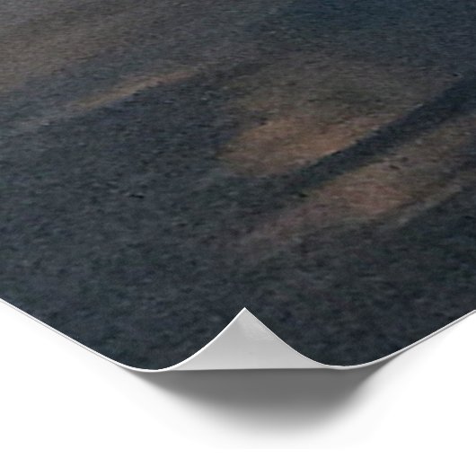 Poster Bald Eagle Basse Pêche (Coin)