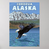 Poster Bald Eagle Diving - Cordova, Alaska (Devant)