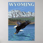 Poster Bald Eagle Diving - Wyoming (Devant)