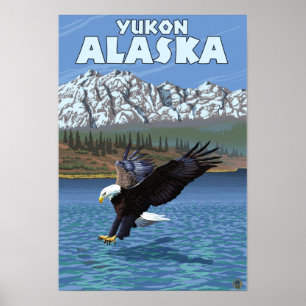 Poster Bald Eagle Diving - Yukon, Alaska