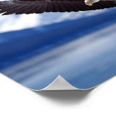 POSTER BALD EAGLE EN ALASKA (Coin)