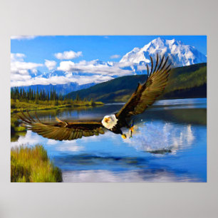 Poster Bald Eagle Fishing Denali 24" x 18" Papier d'archi