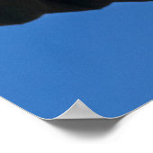 Poster Bald Eagle Flyby Up Close (Coin)