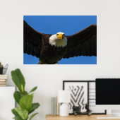 Poster Bald Eagle Flyby Up Close (Bureau à domicile)