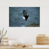 Poster Bald Eagle Landing on Nest (Cuisine)