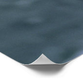 Poster Bald Eagle Landing on Nest (Coin)