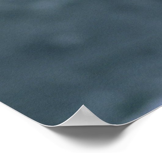 Poster Bald Eagle Landing on Nest (Coin)