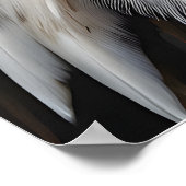 Poster Bald Eagle Profile (Coin)
